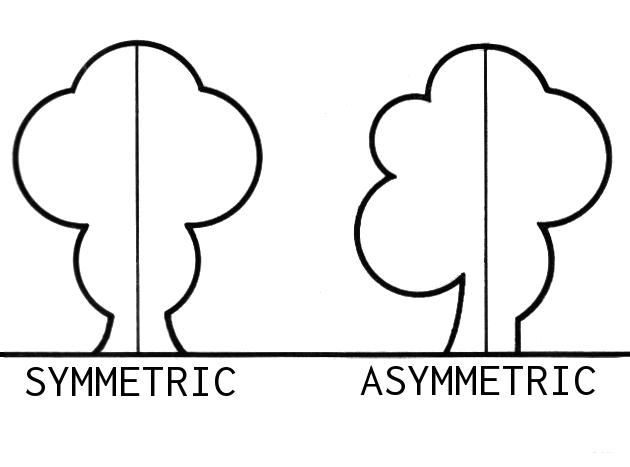asymmetry-comparission